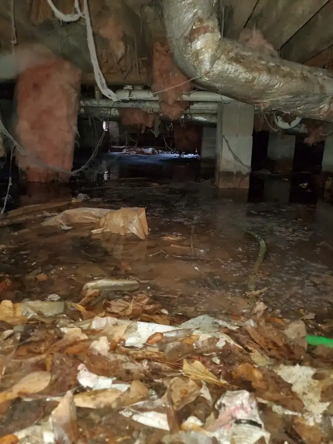 Crawl space flood assessment for Leak Detection & Repair in Lennox